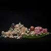 Trail ORGANIC FOOD Vištiena su perlinėmis kruopomis